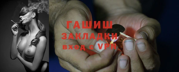 трава Белокуриха