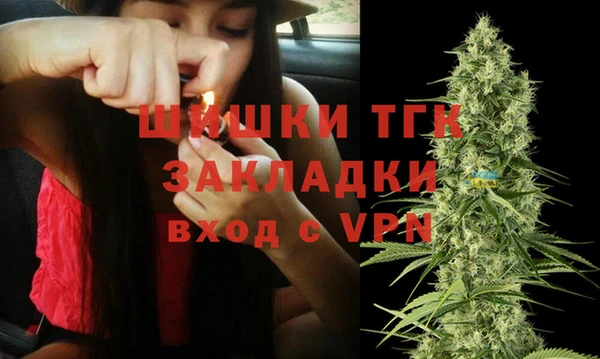 трава Белокуриха